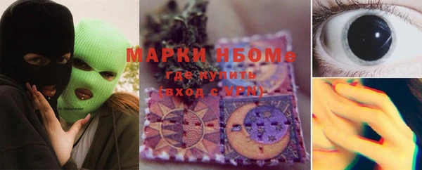 шишки Баксан