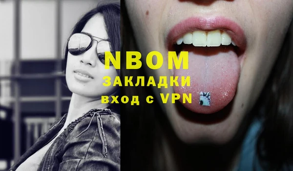 шишки Баксан