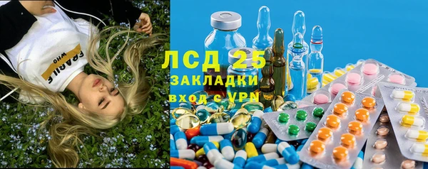 шишки Баксан