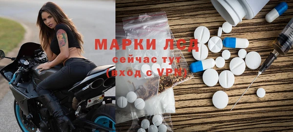 шишки Баксан